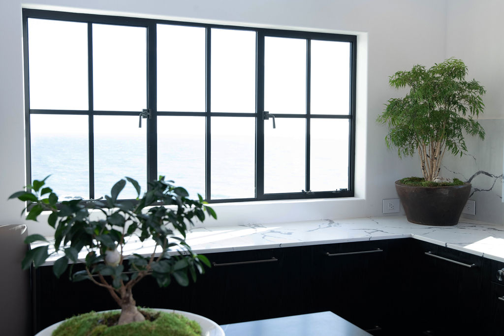 Custom Steel Windows in San Francisco SC
